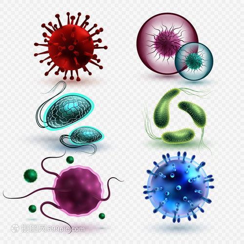 3D現(xiàn)實(shí)中的微生物與細(xì)菌 隔離、媒集與微觀世界的探索