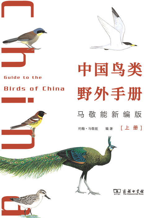 國際生物多樣性日 這份自然書單，帶你領(lǐng)略生命的壯美