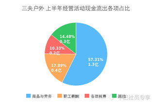 中巴價投研習社發布三夫戶外（SZ002780）半年報畫冊，33張圖表深度解析年度報表
